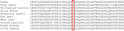 Exome Sequencing Identifies a Novel MAP3K14 Mutation in Recessive Atypical Combined Immunodeficiency